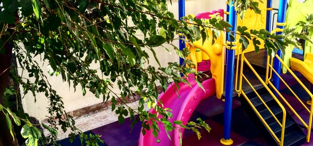 مهدکودک  گل مهر